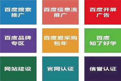 百度竞价成功案例解析